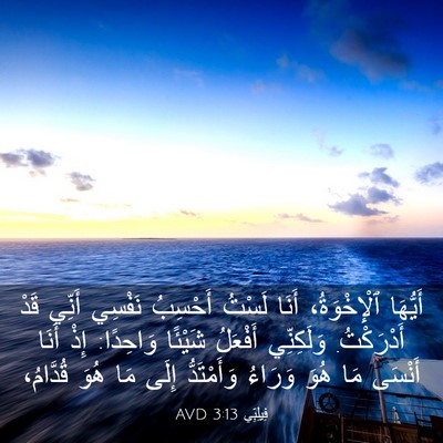 Picture 03 - فِيلِبِّي 3:13 AVD - أَيُّهَا ٱلْإِخْوَةُ، - Bible Verse Picture