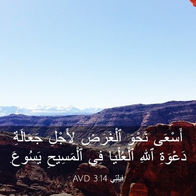 Picture 03 - فِيلِبِّي 3:14 AVD - أَسْعَى نَحْوَ ٱلْغَرَضِ - Bible Verse Picture