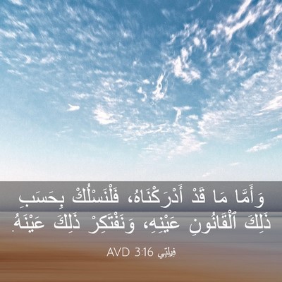 Picture 03 - فِيلِبِّي 3:16 AVD - وَأَمَّا مَا قَدْ - Bible Verse Picture