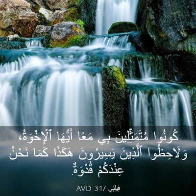 Picture 03 - فِيلِبِّي 3:17 AVD - كُونُوا مُتَمَثِّلِينَ - Bible Verse Picture