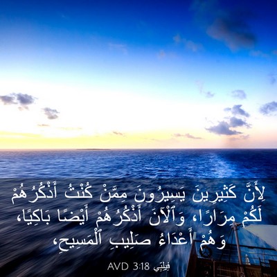 Picture 03 - فِيلِبِّي 3:18 AVD - لِأَنَّ كَثِيرِينَ - Bible Verse Picture