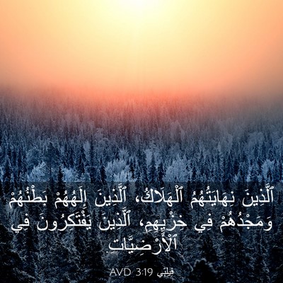 Picture 03 - فِيلِبِّي 3:19 AVD - ٱلَّذِينَ نِهَايَتُهُمُ - Bible Verse Picture