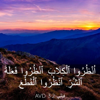Picture 03 - فِيلِبِّي 3:2 AVD - اُنْظُرُوا ٱلْكِلَابَ. - Bible Verse Picture