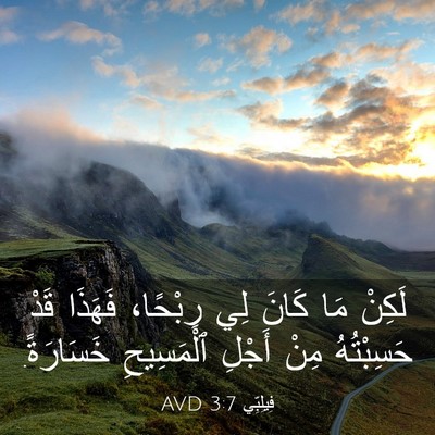Picture 03 - فِيلِبِّي 3:7 AVD - لَكِنْ مَا كَانَ لِي - Bible Verse Picture