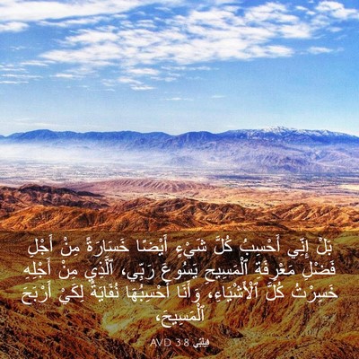 Picture 03 - فِيلِبِّي 3:8 AVD - بَلْ إِنِّي أَحْسِبُ كُلَّ - Bible Verse Picture