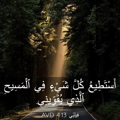 Picture 03 - فِيلِبِّي 4:13 AVD - أَسْتَطِيعُ كُلَّ شَيْءٍ - Bible Verse Picture