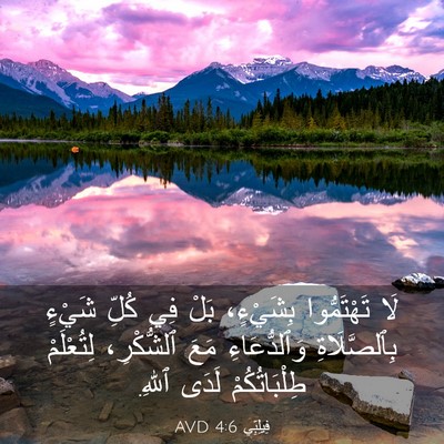 Picture 03 - فِيلِبِّي 4:6 AVD - لَا تَهْتَمُّوا بِشَيْءٍ، - Bible Verse Picture