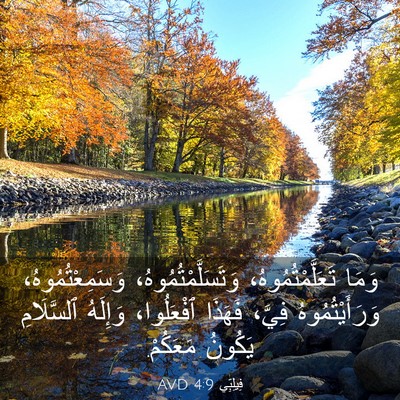 Picture 03 - فِيلِبِّي 4:9 AVD - وَمَا تَعَلَّمْتُمُوهُ، - Bible Verse Picture