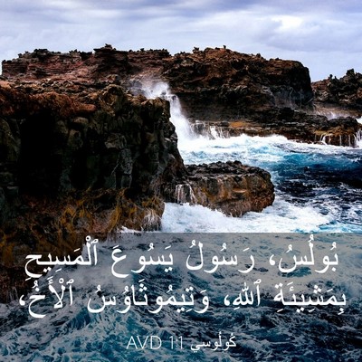 Picture 03 - كُولُوسِي 1:1 AVD - بُولُسُ، رَسُولُ يَسُوعَ - Bible Verse Picture