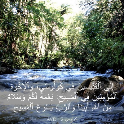 Picture 03 - كُولُوسِي 1:2 AVD - إِلَى ٱلْقِدِّيسِينَ فِي - Bible Verse Picture
