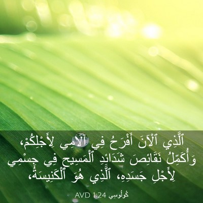 Picture 03 - كُولُوسِي 1:24 AVD - ٱلَّذِي ٱلْآنَ أَفْرَحُ - Bible Verse Picture