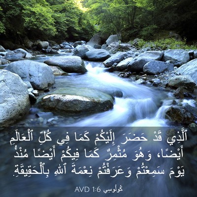Picture 03 - كُولُوسِي 1:6 AVD - ٱلَّذِي قَدْ حَضَرَ - Bible Verse Picture