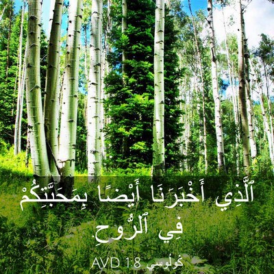Picture 03 - كُولُوسِي 1:8 AVD - ٱلَّذِي أَخْبَرَنَا - Bible Verse Picture