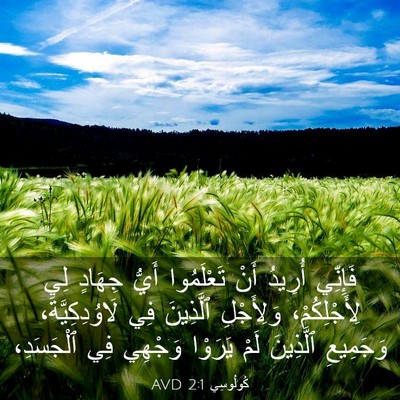 Picture 03 - كُولُوسِي 2:1 AVD - فَإِنِّي أُرِيدُ أَنْ - Bible Verse Picture