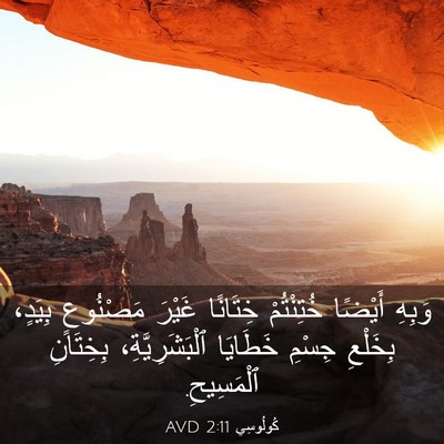 Picture 03 - كُولُوسِي 2:11 AVD - وَبِهِ أَيْضًا خُتِنْتُمْ - Bible Verse Picture