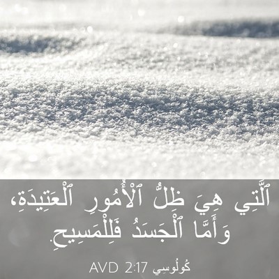 Picture 03 - كُولُوسِي 2:17 AVD - ٱلَّتِي هِيَ ظِلُّ - Bible Verse Picture