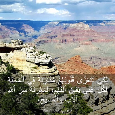 Picture 03 - كُولُوسِي 2:2 AVD - لِكَيْ تَتَعَزَّى - Bible Verse Picture