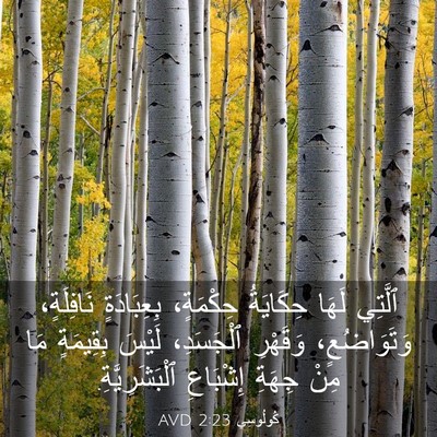 Picture 03 - كُولُوسِي 2:23 AVD - ٱلَّتِي لَهَا حِكَايَةُ - Bible Verse Picture