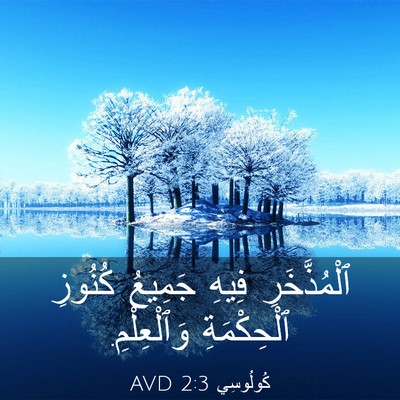 Picture 03 - كُولُوسِي 2:3 AVD - ٱلْمُذَّخَرِ فِيهِ - Bible Verse Picture