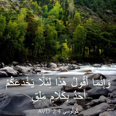 Picture 03 - كُولُوسِي 2:4 AVD - وَإِنَّمَا أَقُولُ هَذَا - Bible Verse Picture