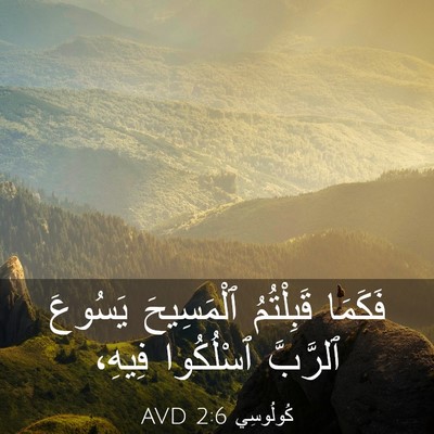 Picture 03 - كُولُوسِي 2:6 AVD - فَكَمَا قَبِلْتُمُ - Bible Verse Picture