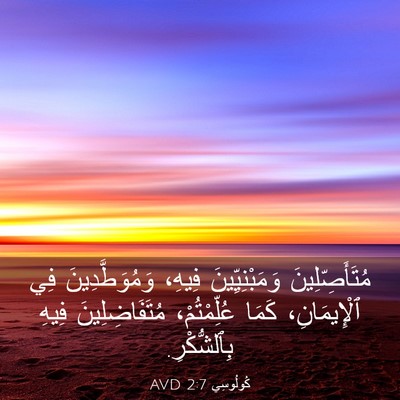 Picture 03 - كُولُوسِي 2:7 AVD - مُتَأَصِّلِينَ - Bible Verse Picture