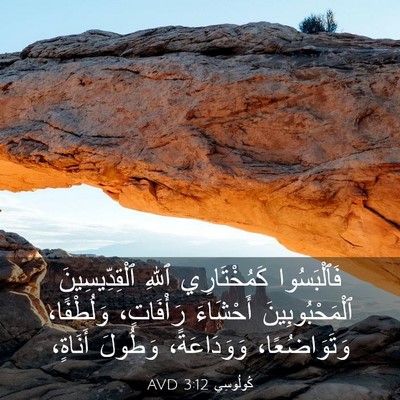 Picture 03 - كُولُوسِي 3:12 AVD - فَٱلْبَسُوا كَمُخْتَارِي - Bible Verse Picture