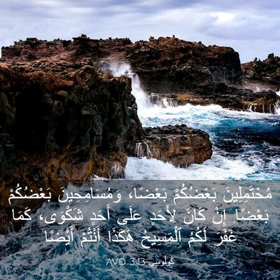 Picture 03 - كُولُوسِي 3:13 AVD - مُحْتَمِلِينَ بَعْضُكُمْ - Bible Verse Picture