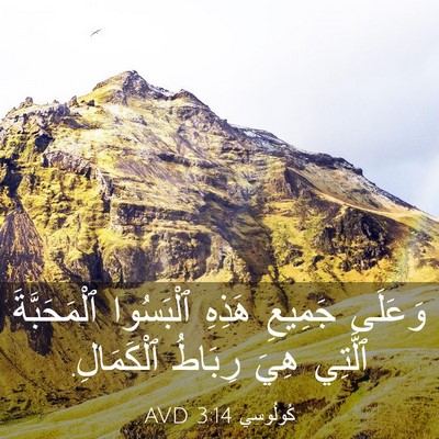 Picture 03 - كُولُوسِي 3:14 AVD - وَعَلَى جَمِيعِ هَذِهِ - Bible Verse Picture