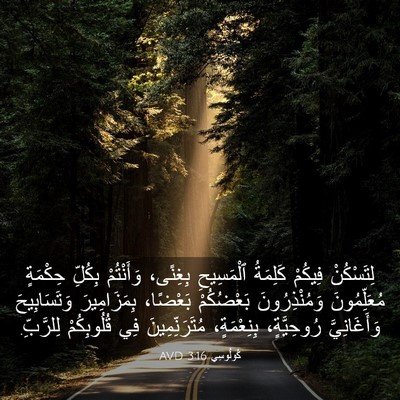 Picture 03 - كُولُوسِي 3:16 AVD - لِتَسْكُنْ فِيكُمْ - Bible Verse Picture