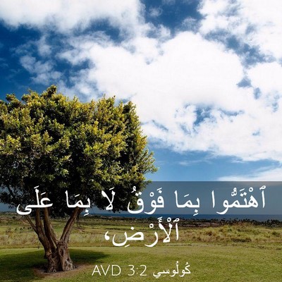 Picture 03 - كُولُوسِي 3:2 AVD - ٱهْتَمُّوا بِمَا فَوْقُ - Bible Verse Picture