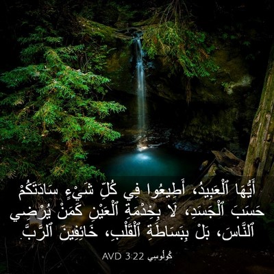 Picture 03 - كُولُوسِي 3:22 AVD - أَيُّهَا ٱلْعَبِيدُ، - Bible Verse Picture