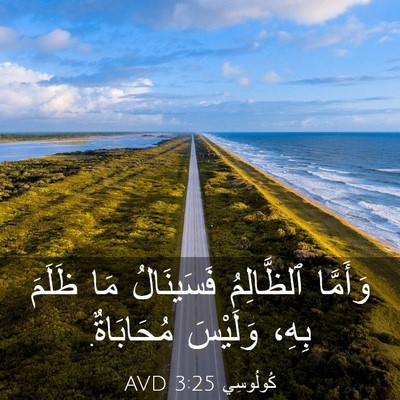 Picture 03 - كُولُوسِي 3:25 AVD - وَأَمَّا ٱلظَّالِمُ - Bible Verse Picture