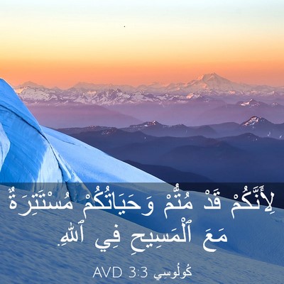 Picture 03 - كُولُوسِي 3:3 AVD - لِأَنَّكُمْ قَدْ مُتُّمْ - Bible Verse Picture