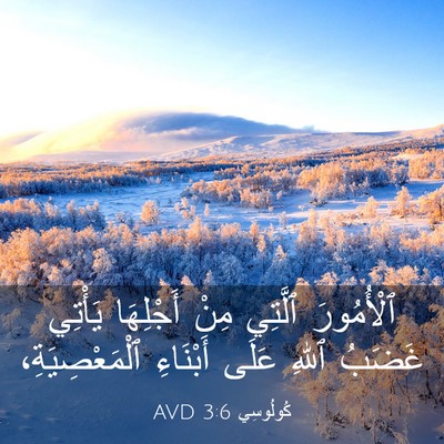 Picture 03 - كُولُوسِي 3:6 AVD - ٱلْأُمُورَ ٱلَّتِي مِنْ - Bible Verse Picture