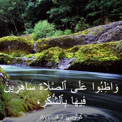 Picture 03 - كُولُوسِي 4:2 AVD - وَاظِبُوا عَلَى - Bible Verse Picture