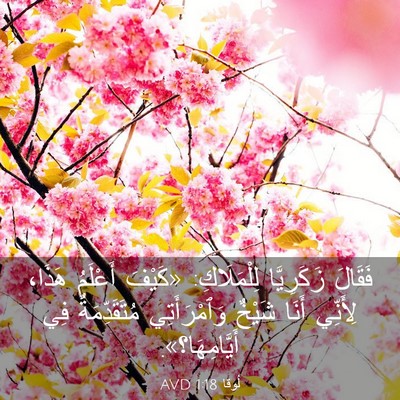 Picture 03 - لُوقا 1:18 AVD - فَقَالَ زَكَرِيَّا - Bible Verse Picture