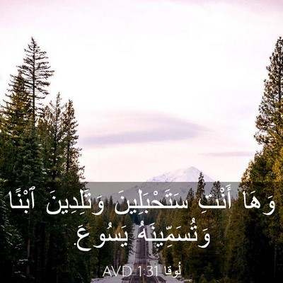 Picture 03 - لُوقا 1:31 AVD - وَهَا أَنْتِ - Bible Verse Picture
