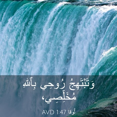 Picture 03 - لُوقا 1:47 AVD - وَتَبْتَهِجُ رُوحِي - Bible Verse Picture