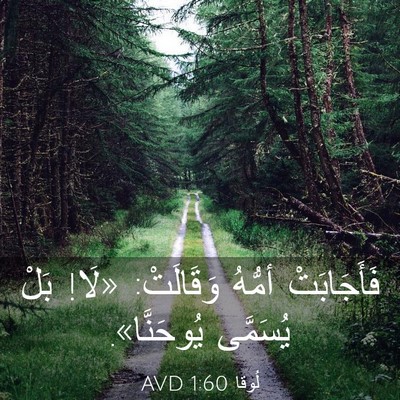 Picture 03 - لُوقا 1:60 AVD - فَأَجَابَتْ أمُّهُ - Bible Verse Picture