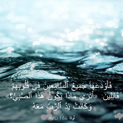 Picture 03 - لُوقا 1:66 AVD - فَأَوْدَعَهَا جَمِيعُ - Bible Verse Picture