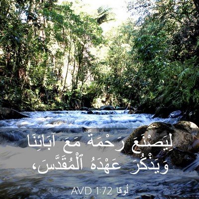 Picture 03 - لُوقا 1:72 AVD - لِيَصْنَعَ رَحْمَةً مَعَ - Bible Verse Picture