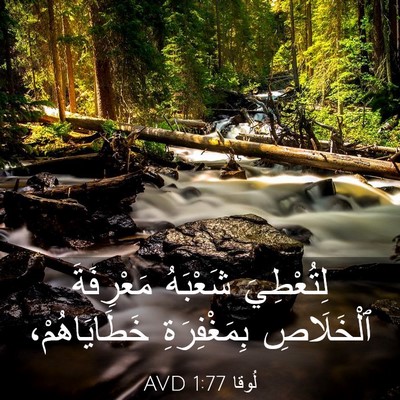 Picture 03 - لُوقا 1:77 AVD - لِتُعْطِيَ شَعْبَهُ - Bible Verse Picture