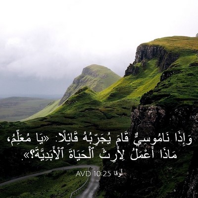 Picture 03 - لُوقا 10:25 AVD - وَإِذَا نَامُوسِيٌّ قَامَ - Bible Verse Picture