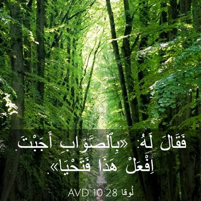 Picture 03 - لُوقا 10:28 AVD - فَقَالَ لَهُ: - Bible Verse Picture