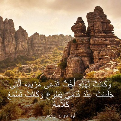 Picture 03 - لُوقا 10:39 AVD - وَكَانَتْ لِهَذِهِ أُخْتٌ - Bible Verse Picture