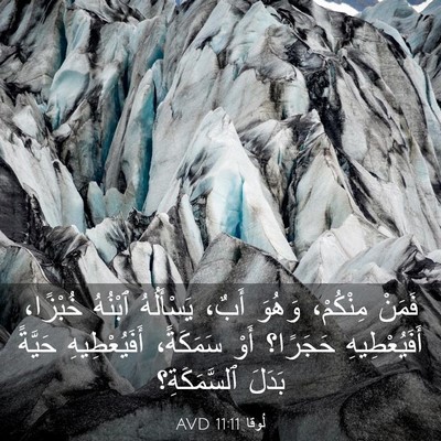 Picture 03 - لُوقا 11:11 AVD - فَمَنْ مِنْكُمْ، وَهُوَ - Bible Verse Picture