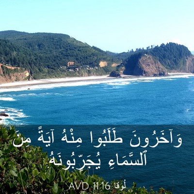 Picture 03 - لُوقا 11:16 AVD - وَآخَرُونَ طَلَبُوا - Bible Verse Picture