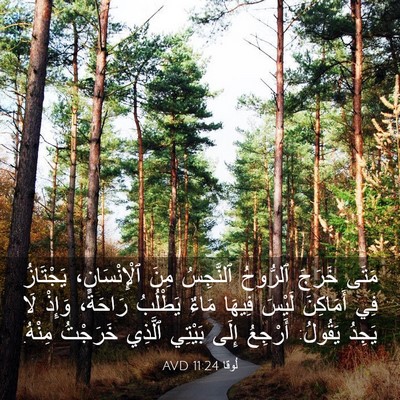 Picture 03 - لُوقا 11:24 AVD - مَتَى خَرَجَ ٱلرُّوحُ - Bible Verse Picture