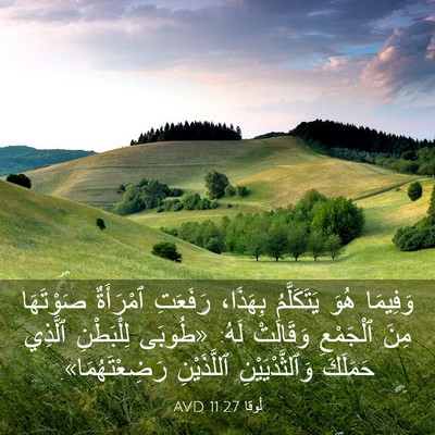 Picture 03 - لُوقا 11:27 AVD - وَفِيمَا هُوَ يَتَكَلَّمُ - Bible Verse Picture
